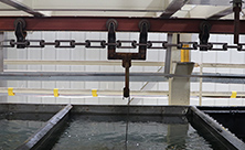 舒丽喷涂：金属电泳技术——推动金属表面处理的绿色转型